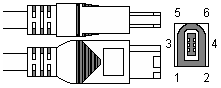 6 pin IEEE1394 female connector